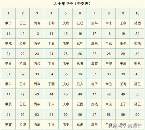 2025是什麼年天干地支|《天干地支》對照表及運用方法